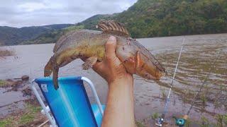 PESCARIA DE JUNDIÁ NO RIO PELOTAS, DIVISA DO ESTADO DE SC COM RS. JUNDIA BRUTO NA LINHA