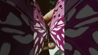 #Butterfly #colorful #shorts #youtube