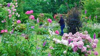 【私家花园探秘】霍灵厄姆村私人花园开放日/英国乡村私家庭院  Hoveringham Open Gardens / Exploring English Villages Private Gardens