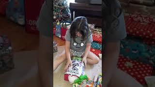 Hatchimals Christmas present opening!!!