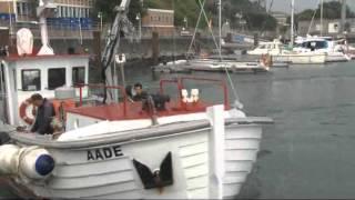 50 Jahre Helgoland Reede Langzeitdatenreihe - Der Jubiläumsfilm