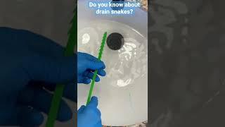 Do You Know About Drain Snakes? Clogged Drain Tip from a Cleaning Pro