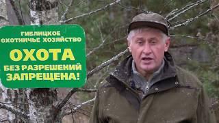 Сезоны охоты в России