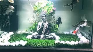 Peace full Buddha decor aquarium