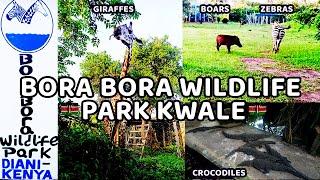 Our First Ever YouTube Video! Exploring the Bora Bora Wildlife Park in Diani, Kenya