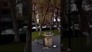  #youtube #armeniatravel #yerevan #yerevanarmenia #yerevancity #streets #yerevanvlog #հայաստան