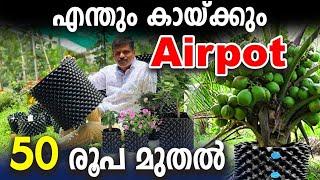 എന്തും കായ്ക്കും AIRPOT | ഡ്രമ്മുകള്‍ ഒഴിവാക്കൂ |50 രൂപ മുതല്‍ | MiracleFarmHouse