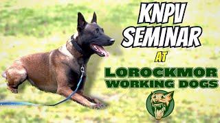 KNPV: Dutch Police Dog Training | A Day In The Life