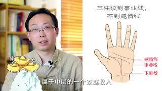 手掌玉柱纹，看你一生的事业能做多大？Know Your CAREER Through The Line of Palm