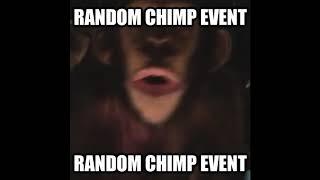 ️RANDOM CHIMP EVENT️