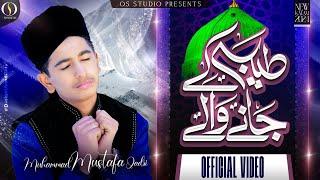 Taiba Ke Jaane Wale || Muhammad Mustafa Qadri