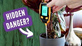 Avoiding Disaster: Understanding How pH Affects Plants