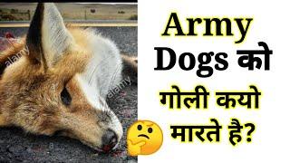 Army Dogs Retirement | Why Shoot  Them ? Sohel Motivation