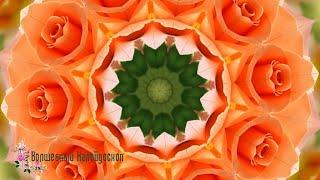 Калейдоскоп красивых цветов  A kaleidoscope of beautiful flowers  Волшебный Калейдоскоп