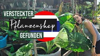 Versteckter PFLANZENSHOP in THAILAND  gefunden | Plant Shopping