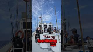 Jumbo Bonita on the Grande  #arthurpereira #sportfishing