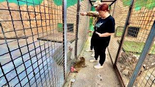 ДОЖДАЛИСЬ! Мы снова ведем нашу Люсю к жениху Елисею, и снова ШОУ с ИСТЕРИКОЙ!!!