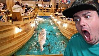 Catch A Fish From Your Table! In Japan!