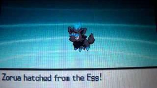 Shiny Zorua via Masuda Method