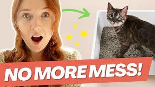 Top 5 BEST Non Tracking Cat Litters (life changing!)
