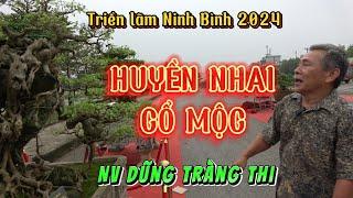 Huyền Nhai Cổ Mộc - NV Dũng Tràng Thi | Triển lãm Ninh Bình 2024