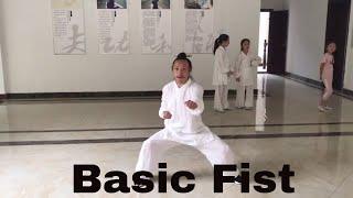 Wudang Kung Fu Academy - Basic Fist by Master Zheng