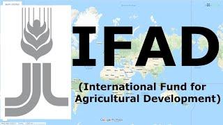 IFAD (International Fund for Agricultural Development) | International Organization | @narviacademy