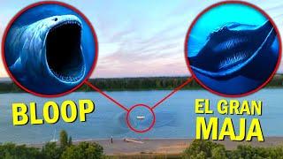 (REAL FOOTAGE) Drone Catches EL GRAN MAJA & BLOOP IN OCEAN!! SEA MONSTER SIGHTING!