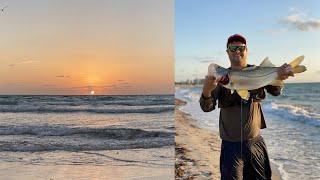 Beach Fishing for Snook in South Beach (Miami Beach MASSIVE Shark Breaks my line)