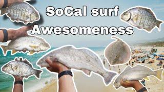 Crazy Surf fishing in Southern California (surf perch, Corbina, croaker, stingray)