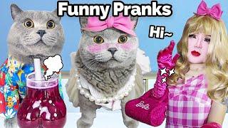 Enjoy Oscar’s Creative Prank Videos!| Oscar‘s Funny World | New Funny Videos 2023