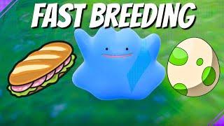 Fastest Guide - How to Breed Pokemon Scarlet & Violet