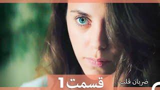 Zarabane Ghalb - ضربان قلب قسمت 1 (Dooble Farsi)