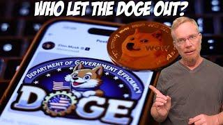  Who let the Doge out?  (Dogecoin, Elon Musk and D.O.G.E.)