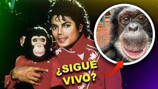 Michael Jackson: ¿Qué pasó con Bubbles? El chimpancé del Rey del Pop | MoonwalkerTV