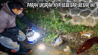 PERJUANGAN mancing belut di selokan & sawah malam ini nyampe subuh