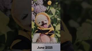 Friendly reminder to change your calendars  #dogs #dogcalendars #june