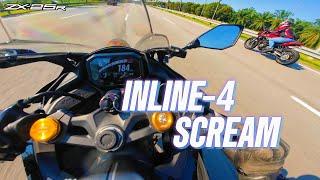 ZX25R Straight Line Havoc ft. Z900, SRK600, 752s | 4K