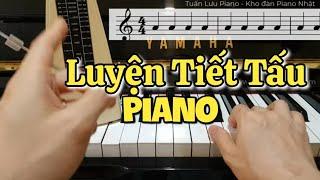 Hướng Dẫn Luyện Tiết Tấu Khi Học Piano - Bài Học Giá Trị Cho Người Tự Học Piano