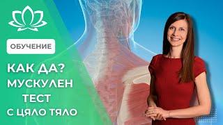 Как се прави мускулен тест с цяло тяло - Дени Андонова, K-Power инструктор, кинезиология