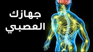 رحلة عبر جهازك العصبي