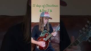 Sleigh Ride - Oscar Caudell #bluegrass #mandolin #christmas