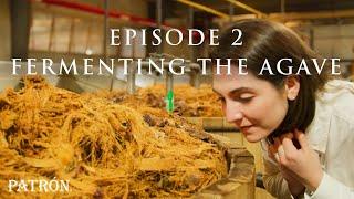 How Patrón Tequila Is Made | Fermentation & Distillation | Ep.2