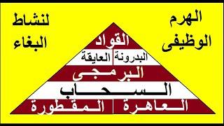 اعرف ايه المكتوب في رخصة البغاء في مصر سنة 1885 م  وقت الاحتلال البريطاني في عهد الخديوي توفيق