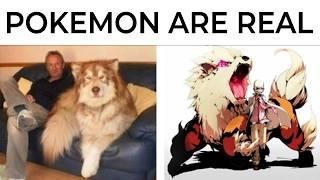 Pokemon Memes