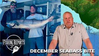 Southern California Bight FISHING REPORT 12/12/2024