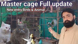 Master Cage full view | birds shead new intres birds & animal | cats , dog , finches ,pigen |