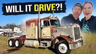 Will it DRIVE? Our 1984 359 Peterbilt REVIVAL!