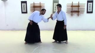 Stanley Pranin demonstrates tai no henko at Aikido seminar in San Miguel de Allende, Mexico