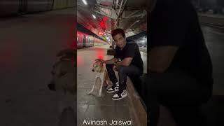 Sonu Sood meet with street dog and care